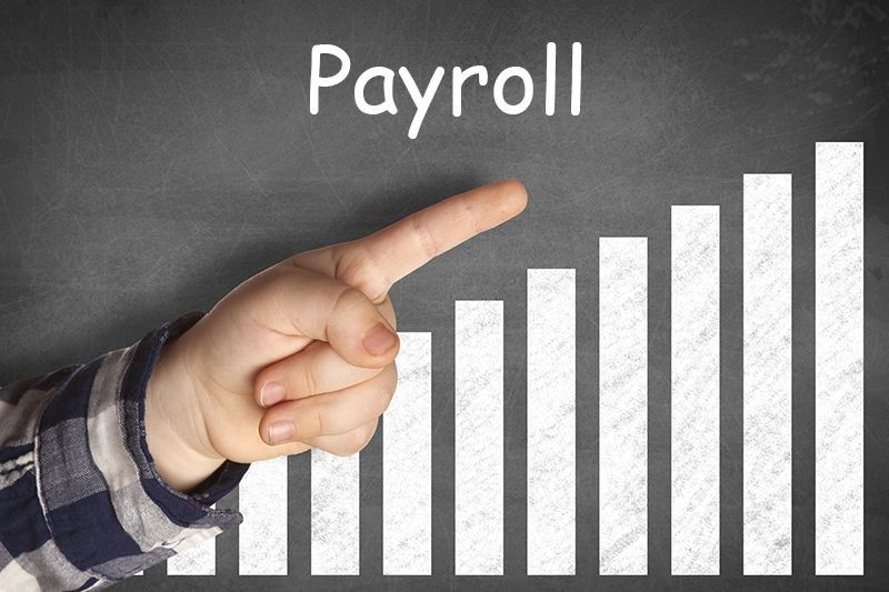 Contribution of Digitization in Payroll Management