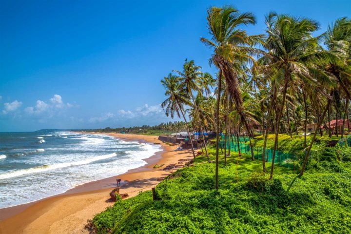The Goa Minimum Wages Notification April 2025
